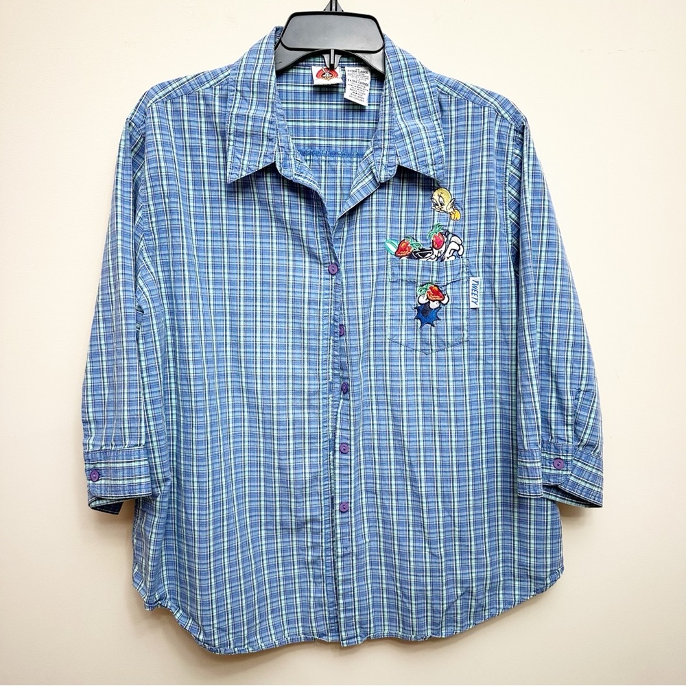 Looney Tunes Vintage Warner Bros. Looney Tunes Blue Plaid Button Down Shirt